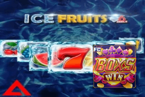 BOXSWIN ajuda online — chat de suporte no aplicativo oficial